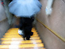 Umbrella Lady